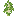 Retoño de abedul