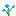 Orquídea azul