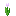 Tulipán rosa